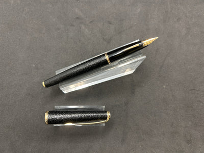 Platinum Black Leather Fountain Pen 18K Gold EF Nib